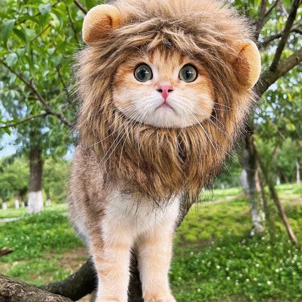 Lion Mane Wig for Cat Costume